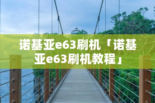 诺基亚e63刷机「诺基亚e63刷机教程」
