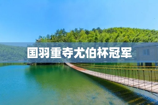 国羽重夺尤伯杯冠军:再度登上羽毛球世界之巅 国羽重夺尤伯杯冠军:再度登上羽毛球世界之巅