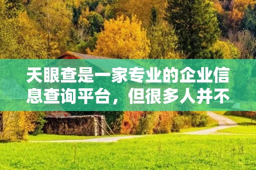 天眼查是一家专业的企业信息查询平台，但很多人并不知道，天眼查也可以用来查个人信息。那么，天眼查怎样查个人呢？下面就为大家详细介绍一下。