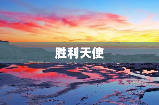 胜利天使:守护你的胜利之翼 胜利天使:守护你的胜利之翼