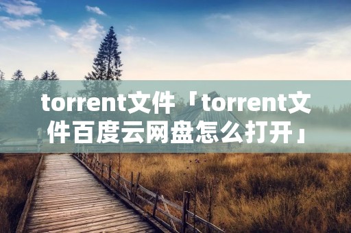 torrent文件「torrent文件百度云网盘怎么打开」