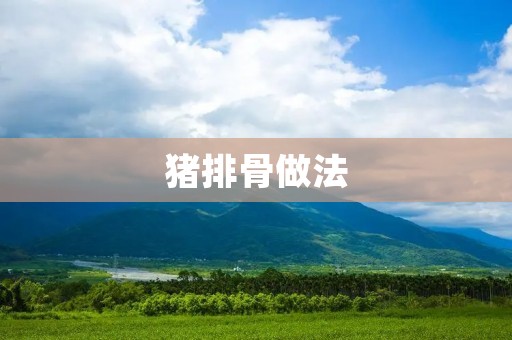 猪排骨做法:美味鲜嫩,简单易学 猪排骨做法:美味鲜嫩,简单易学