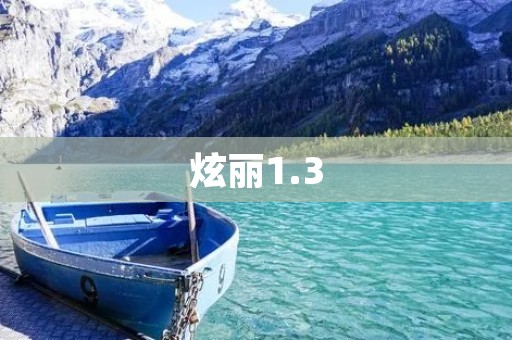 炫丽1.3:魅力四溢的数字世界 炫丽1.3:魅力四溢的数字世界