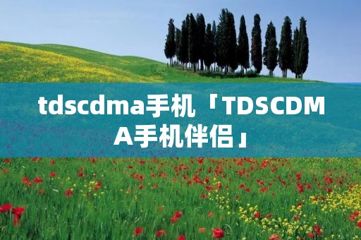 tdscdma手机「TDSCDMA手机伴侣」