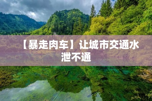 【暴走肉车】让城市交通水泄不通