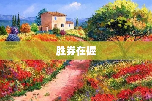 胜券在握：揭秘成功的背后