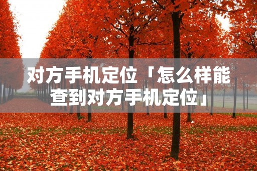 对方手机定位「怎么样能查到对方手机定位」