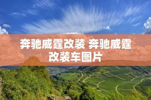 奔驰威霆改装 奔驰威霆改装车图片