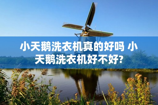小天鹅洗衣机真的好吗 小天鹅洗衣机好不好?