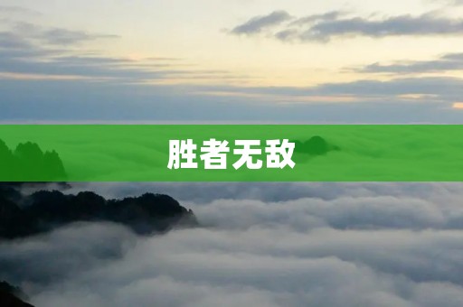 胜者无敌：揭秘成功者的秘密