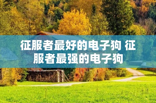 征服者最好的电子狗 征服者最强的电子狗