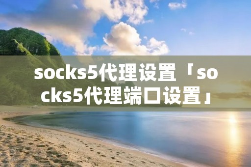 socks5代理设置「socks5代理端口设置」
