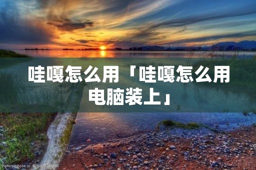 哇嘎怎么用「哇嘎怎么用电脑装上」