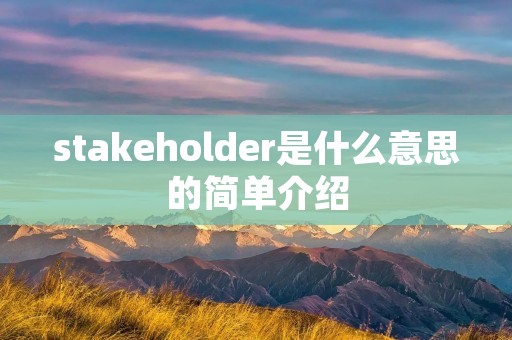 stakeholder是什么意思的简单介绍