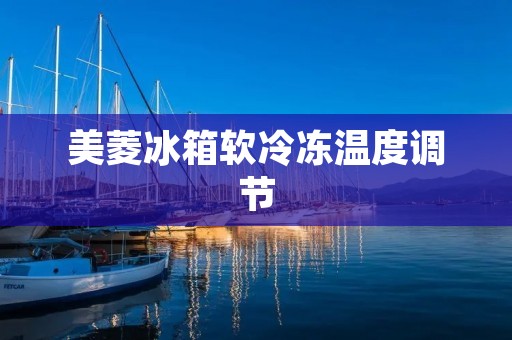 美菱冰箱软冷冻温度调节：如何科学设置冷冻室温度