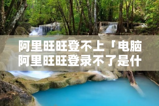 阿里旺旺登不上「电脑阿里旺旺登录不了是什么原因」 阿里旺旺登不上「电脑阿里旺旺登录不了是什么原因」