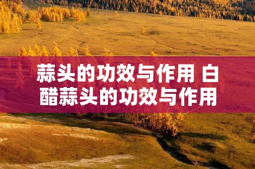 蒜头的功效与作用 白醋蒜头的功效与作用