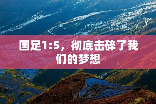 国足1:5,彻底击碎了我们的梦想 国足1:5,彻底击碎了我们的梦想