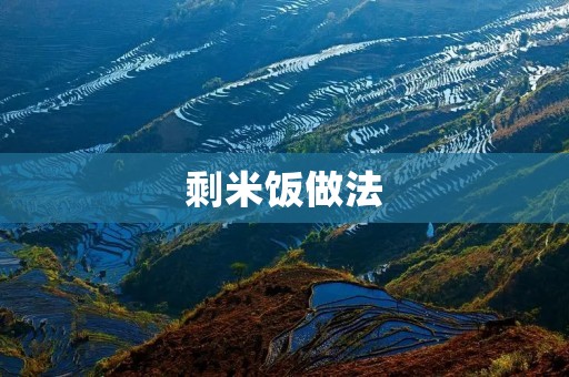 剩米饭做法：创意美食让剩饭焕发新生