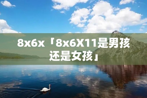 8x6x「8x6X11是男孩还是女孩」 8x6x「8x6X11是男孩还是女孩」