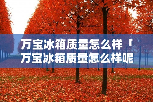 万宝冰箱质量怎么样「万宝冰箱质量怎么样呢单人小冰箱」