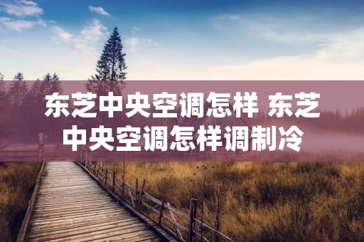东芝中央空调怎样 东芝中央空调怎样调制冷 东芝中央空调怎样 东芝中央空调怎样调制冷