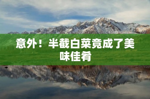 意外!半截白菜竟成了美味佳肴