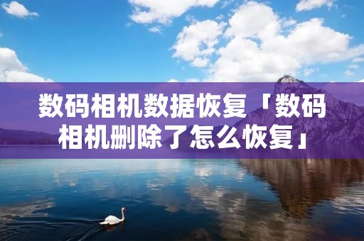 数码相机数据恢复「数码相机删除了怎么恢复」