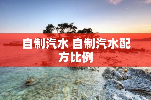 自制汽水 自制汽水配方比例