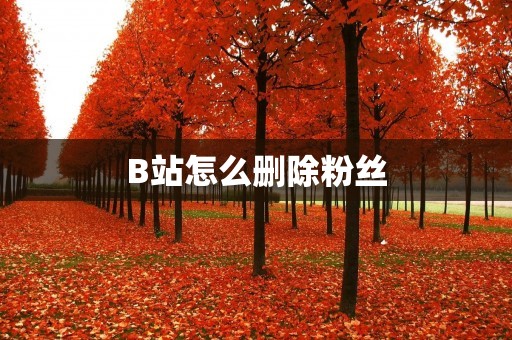 B站怎么删除粉丝：详细教程及注意事项