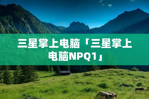三星掌上电脑「三星掌上电脑NPQ1」 三星掌上电脑「三星掌上电脑NPQ1」