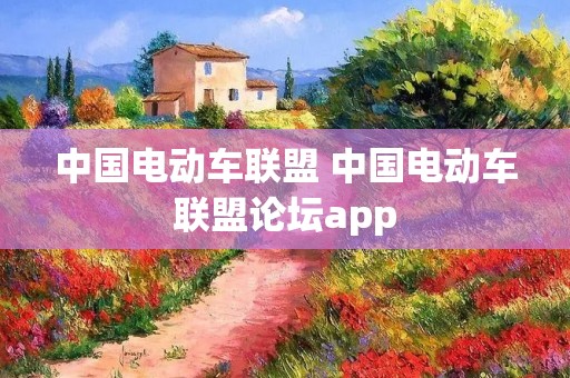 中国电动车联盟 中国电动车联盟论坛app 中国电动车联盟 中国电动车联盟论坛app