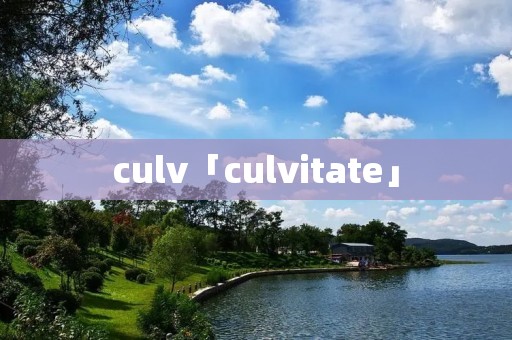 culv「culvitate」 culv「culvitate」