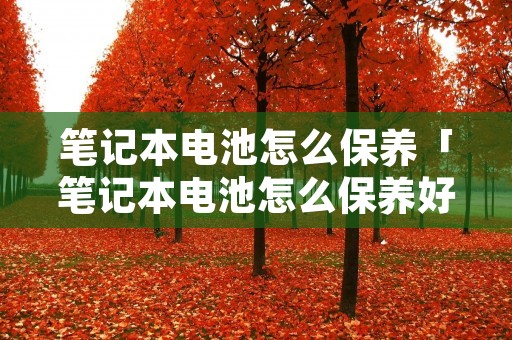 笔记本电池怎么保养「笔记本电池怎么保养好」