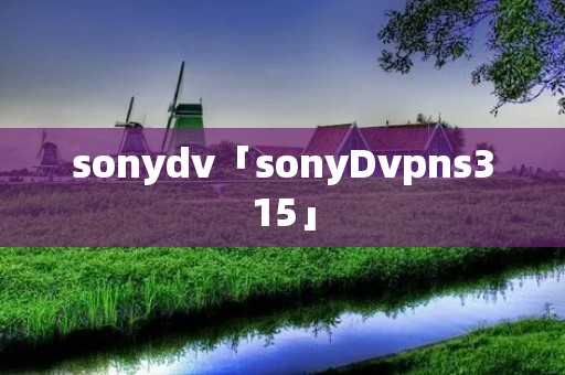 sonydv「sonyDvpns315」 sonydv「sonyDvpns315」