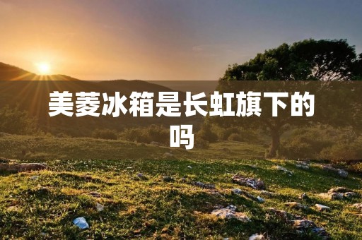 美菱冰箱是长虹旗下的吗