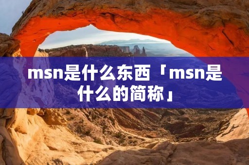 msn是什么东西「msn是什么的简称」 msn是什么东西「msn是什么的简称」