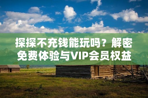 探探不充钱能玩吗?解密免费体验与VIP会员权益 探探不充钱能玩吗?解密免费体验与VIP会员权益