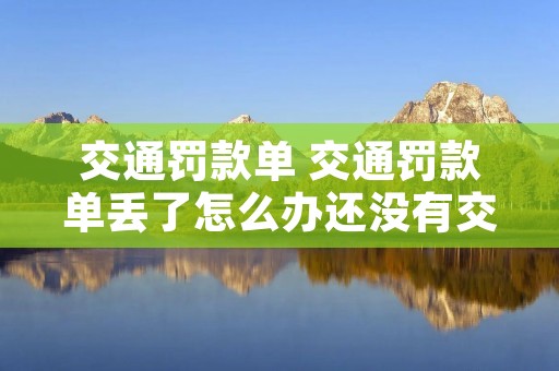 交通罚款单 交通罚款单丢了怎么办还没有交钱 交通罚款单 交通罚款单丢了怎么办还没有交钱
