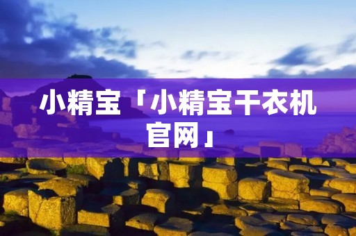 小精宝「小精宝干衣机官网」 小精宝「小精宝干衣机官网」
