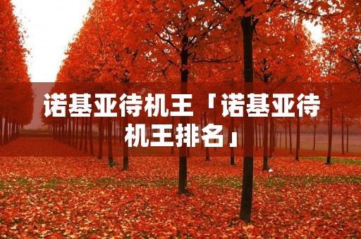 诺基亚待机王「诺基亚待机王排名」