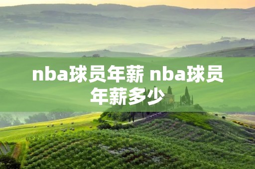 nba球员年薪 nba球员年薪多少