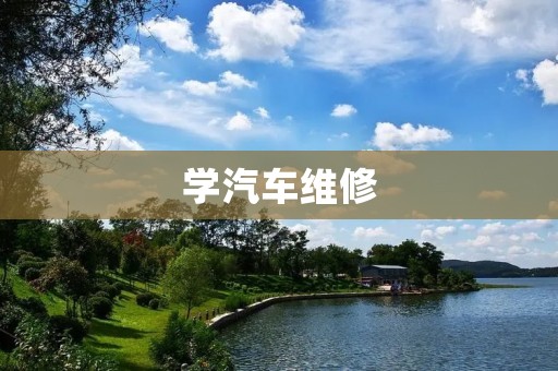 学汽车维修:从小白到技术达人,提升修车技能的方法与技巧 学汽车维修:从小白到技术达人,提升修车技能的方法与技巧