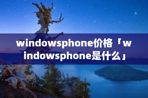 windowsphone价格「windowsphone是什么」