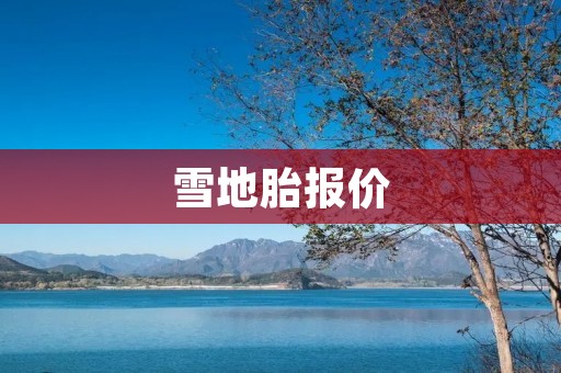 雪地胎报价：选择适合您的雪地胎，让驾驶更安心