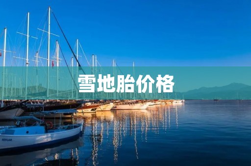 雪地胎价格：选择适合的雪地胎，让你在冰雪路上行驶更安全