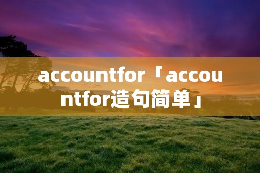 accountfor「accountfor造句简单」