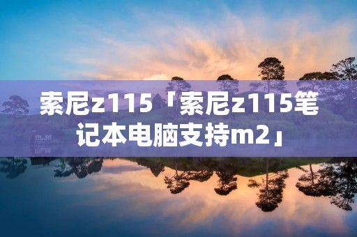 索尼z115「索尼z115笔记本电脑支持m2」