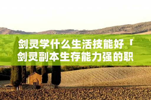 剑灵学什么生活技能好「剑灵副本生存能力强的职业」