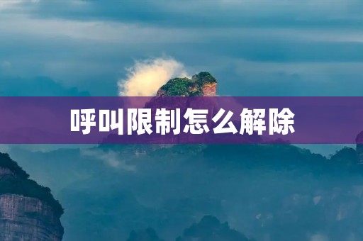 呼叫限制怎么解除
